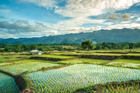 QUY ĐỊNH PHÁP LUẬT VỀ VIỆC TẶNG CHO TÀI SẢN LÀ BẤT ĐỘNG SẢN.
