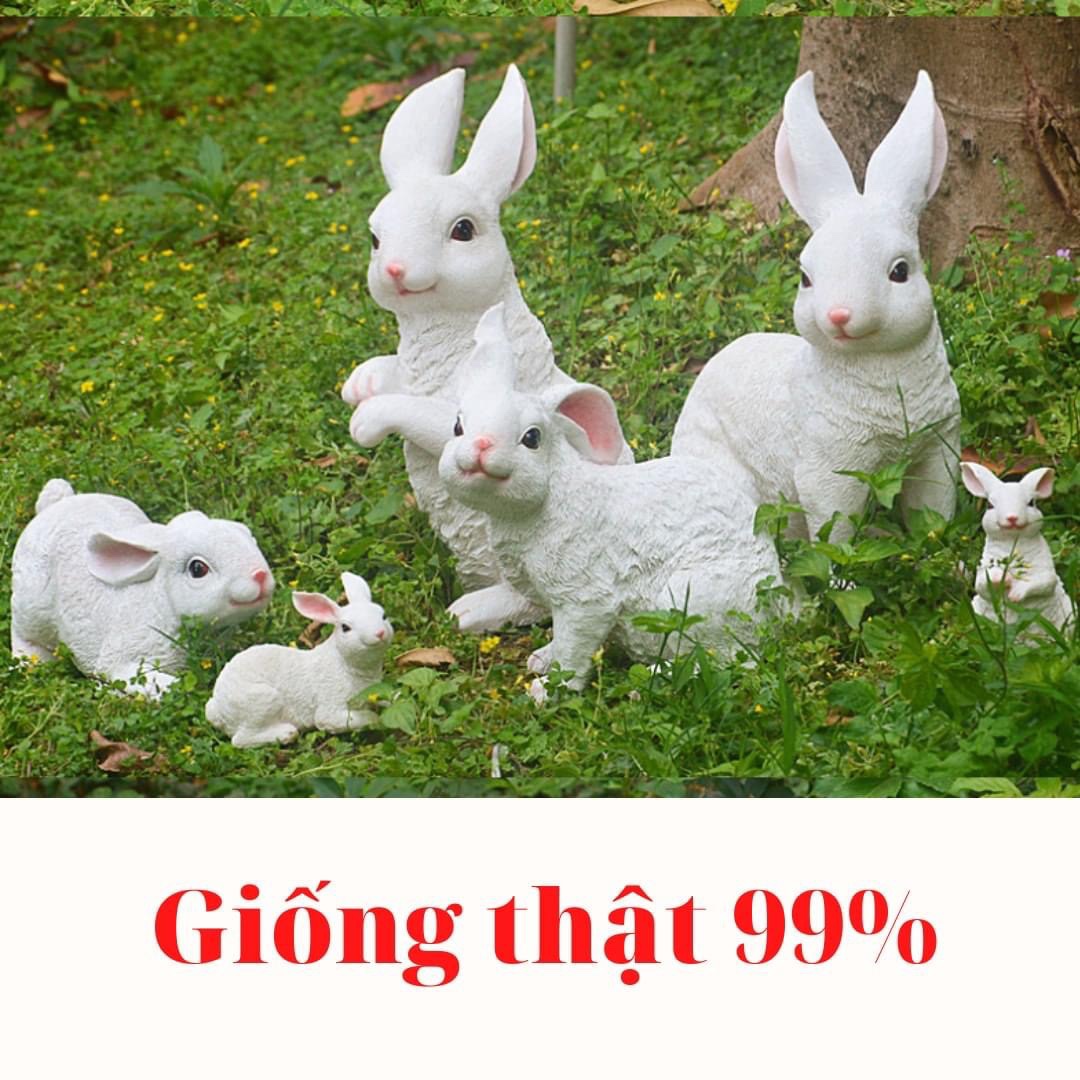 ​​GIẾT CON MỚI ĐẺ THÌ BỊ XỬ LÝ THẾ NÀO?