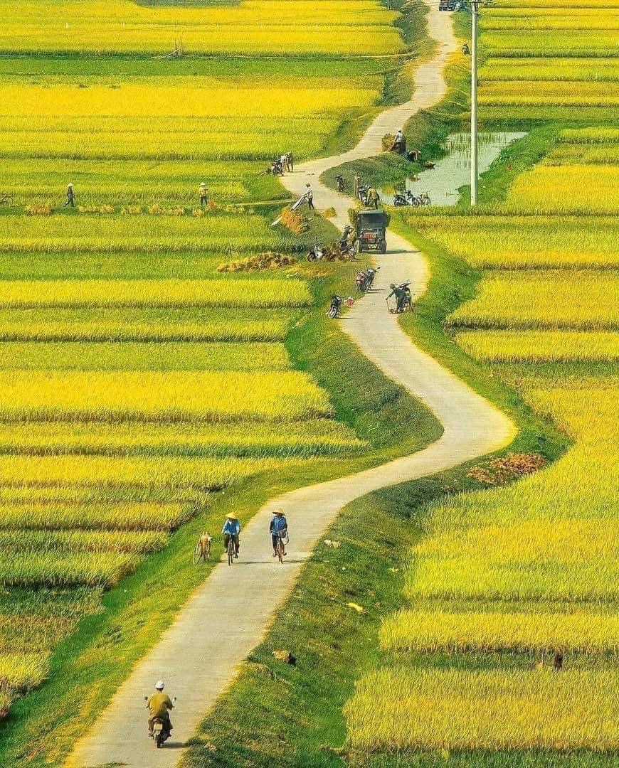 ĐIỀU KIỆN CHUYỂN MỤC ĐÍCH SỬ DỤNG ĐẤT TRỒNG LÚA, ĐẤT RỪNG PHÒNG HỘ VÀ ĐẤT RỪNG ĐẶC DỤNG SANG DỰ ÁN ĐẦU TƯ
