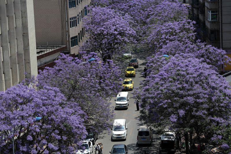KHÔNG CHO CON DÂU VỀ NHÀ CHA MẸ ĐẺ CÓ BỊ XỬ PHẠT KHÔNG?