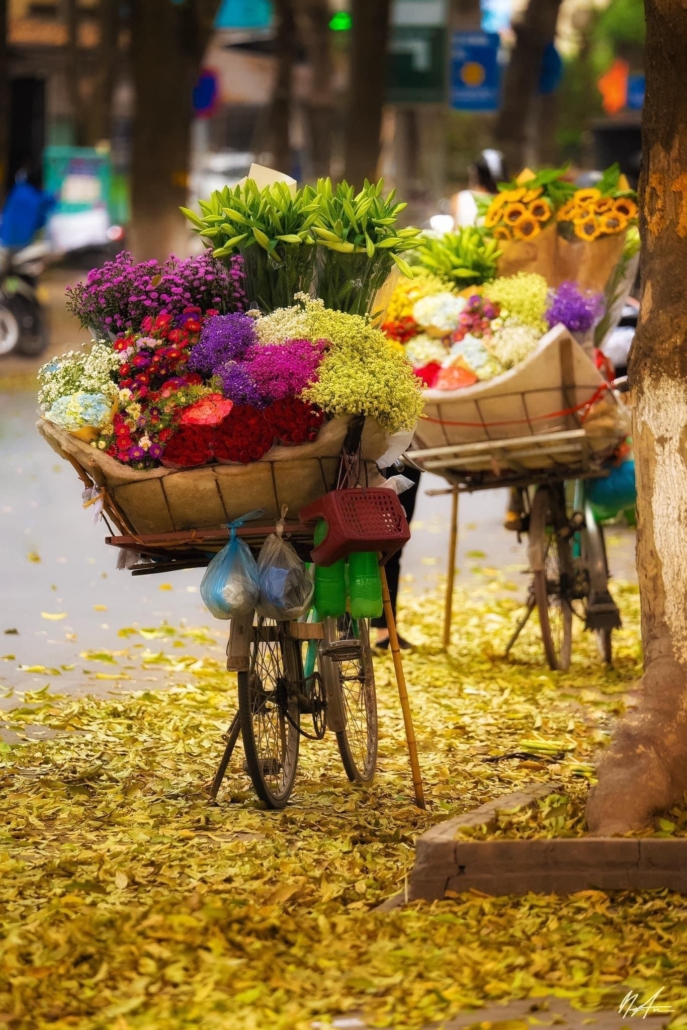 ĐANG MANG THAI NGHỈ VIỆC CÓ ĐƯỢC HƯỞNG CHẾ ĐỘ THAI SẢN KHÔNG?