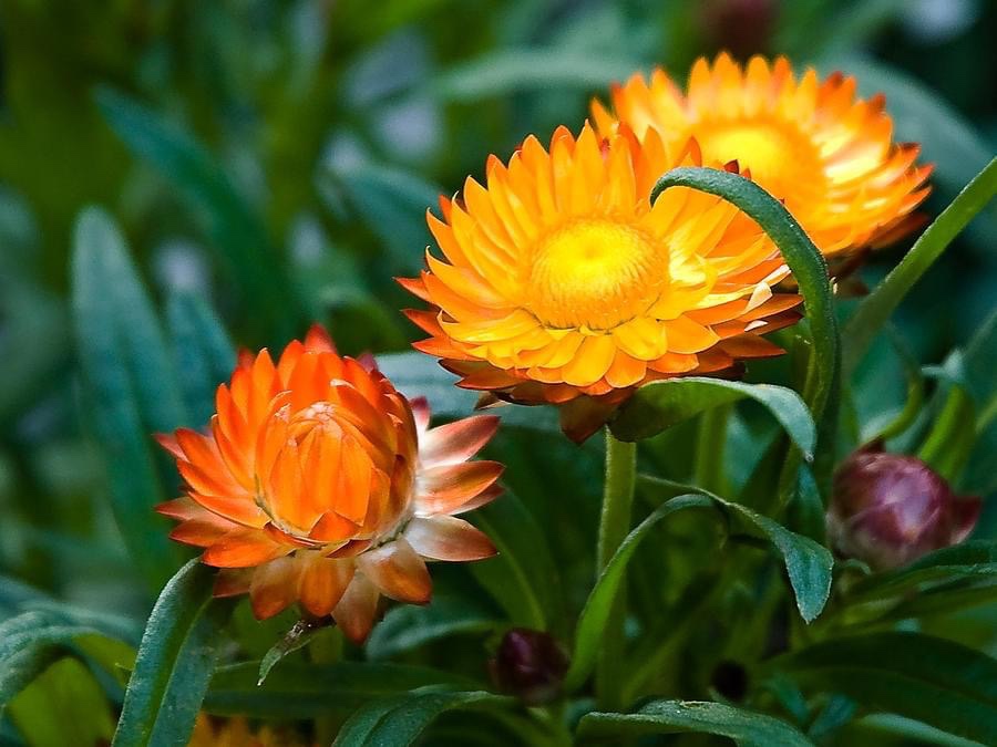 BỊ ĐƠN CÓ QUYỀN ĐƯA RA YÊU CẦU PHẢN TỐ TẠI THỜI ĐIỂM NÀO?
