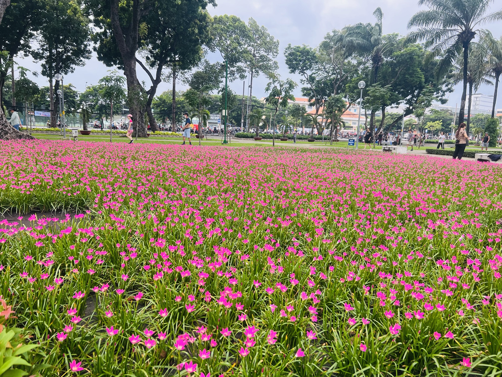 THẨM QUYỀN GIẢI QUYẾT TRANH CHẤP ĐẤT ĐAI