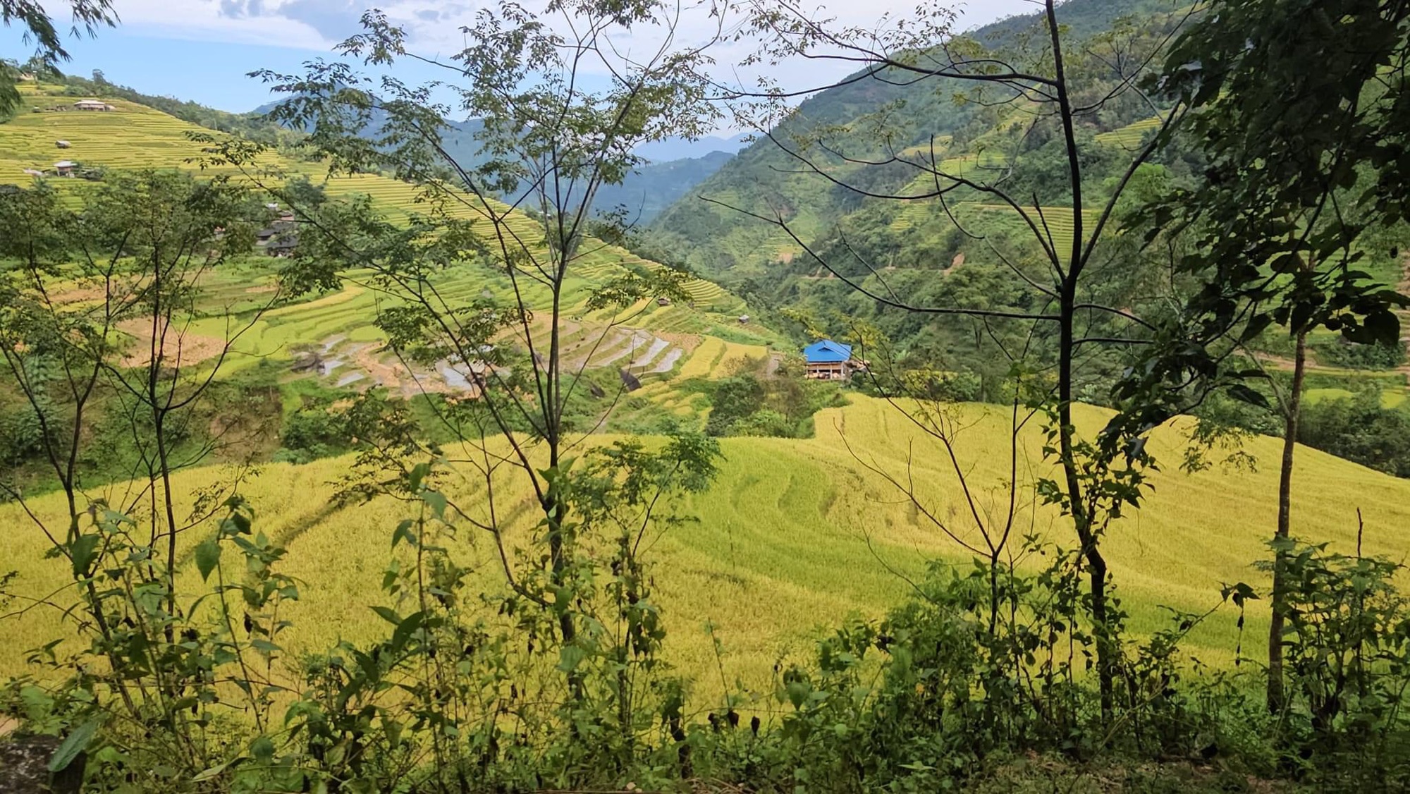 GIẢI ĐÁP THẮC MẮC VỀ HUỶ GIẤY CHỨNG NHẬN QUYỀN SỬ DỤNG ĐẤT